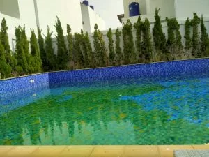 kolam renang kotor