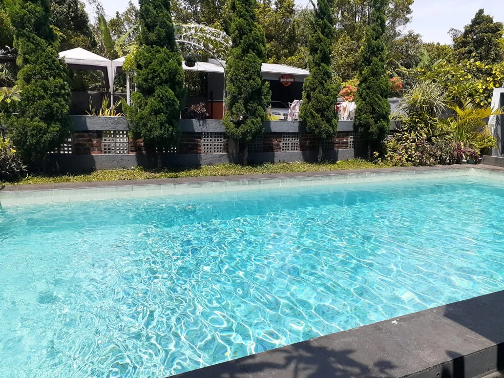 Manfaat Berenang di Kolam Renang Tanpa Kaporit.