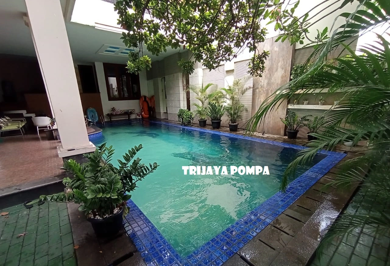 Filtrasi-Alami-Untuk-Kolam-Renang-Tanpa-Bahan-Kimia